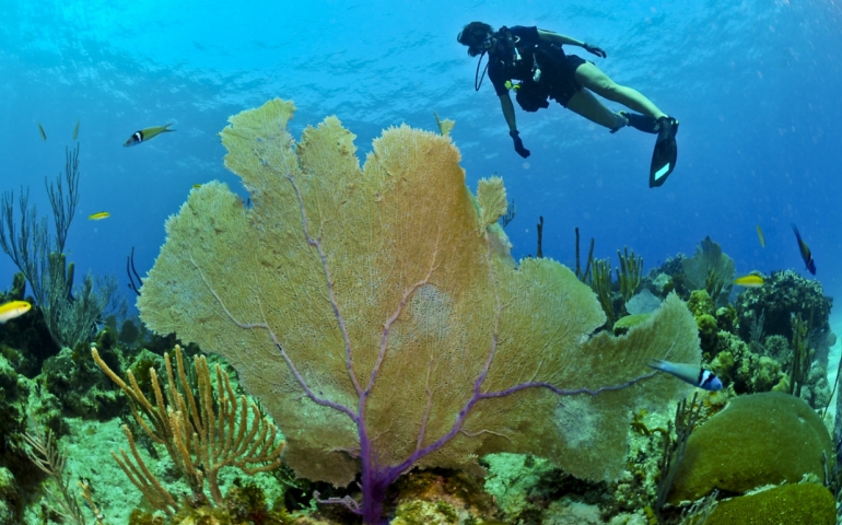 Cayo Coco buceo