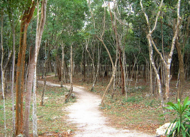 Bahia Naranjo 1