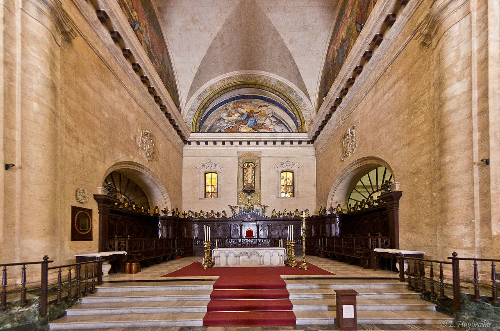 Catedral de La Habana 3