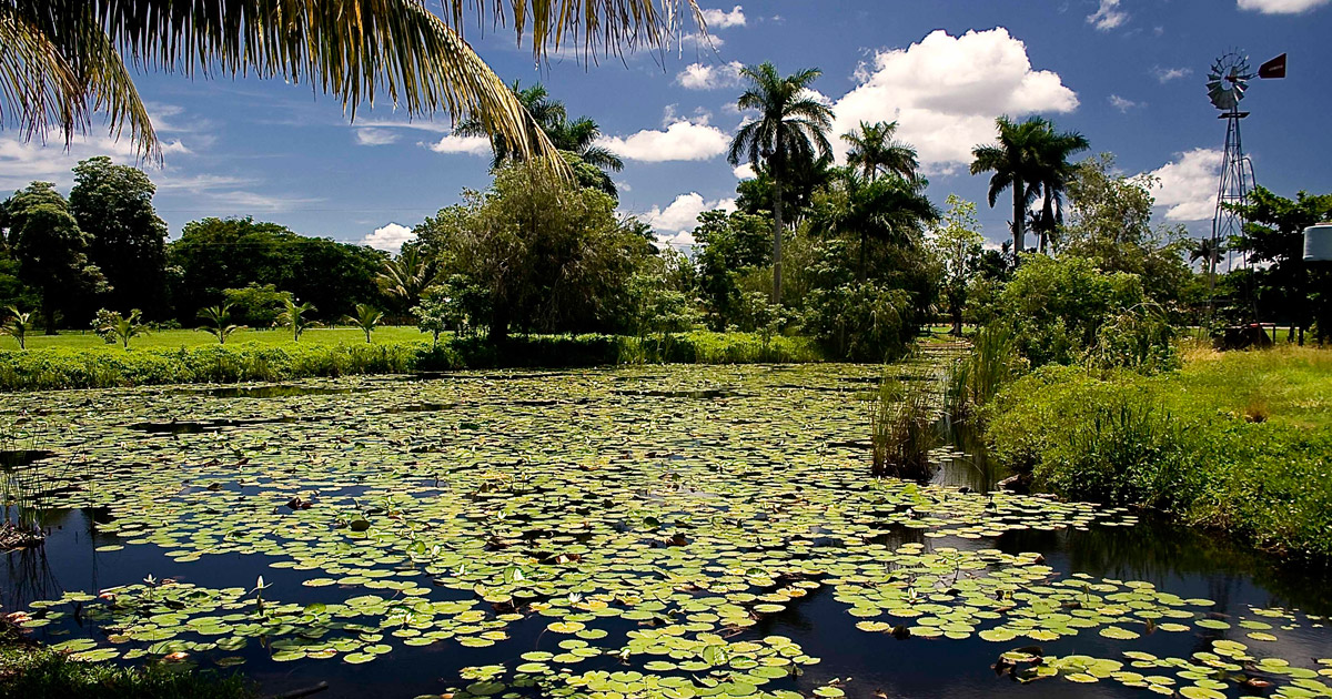 Ciénaga de Zapata