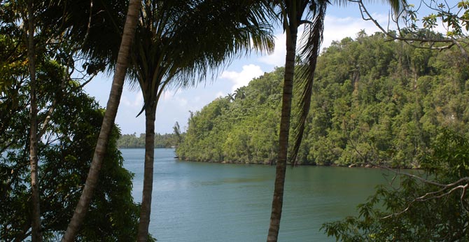 Parque Nacional Alejandro Humboldt 1