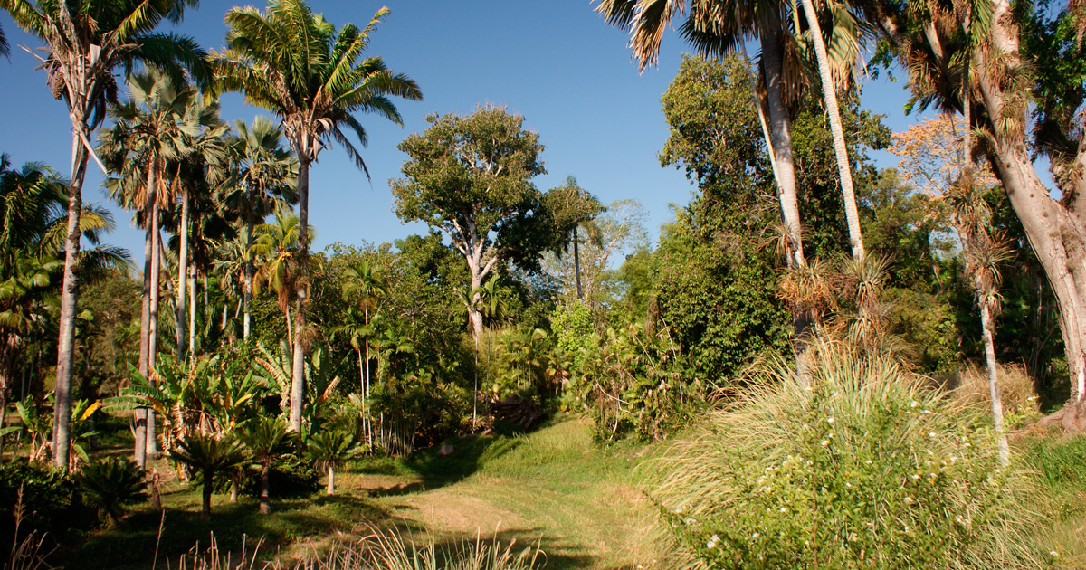 Botánico de Cienfuegos