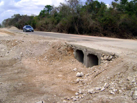 túnel cangrejos 2