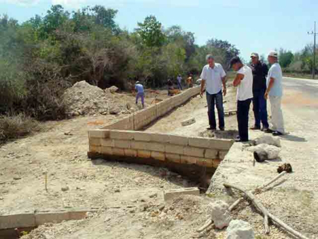 túnel cangrejos