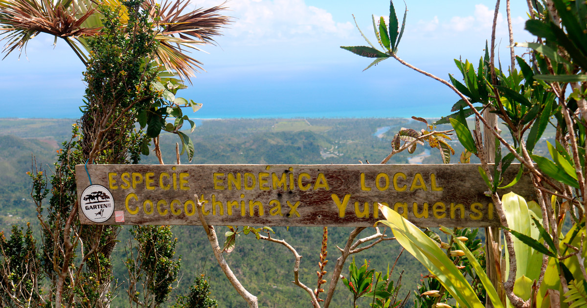 El Yunque