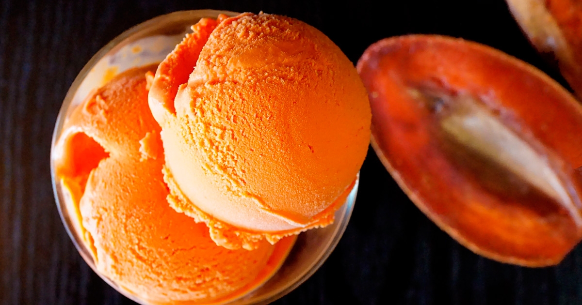 La receta de helado de Mamey de Nitza Villapol en su libro Cocina al Minuto  - CubaConecta ??