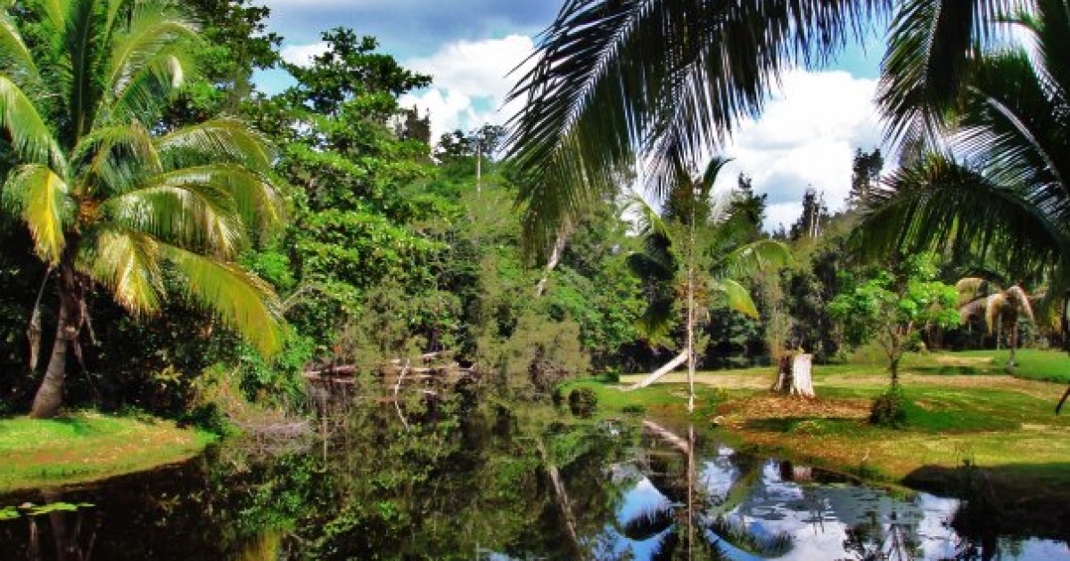 Ciénaga de Zapata